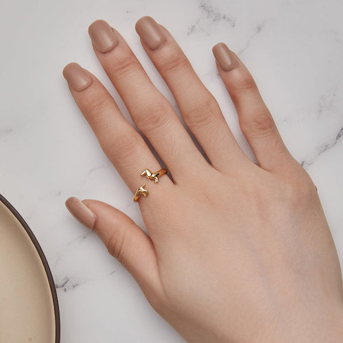 Anillo de Teckel